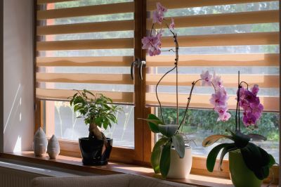 Interior Shutters Installation in Boulder, CO