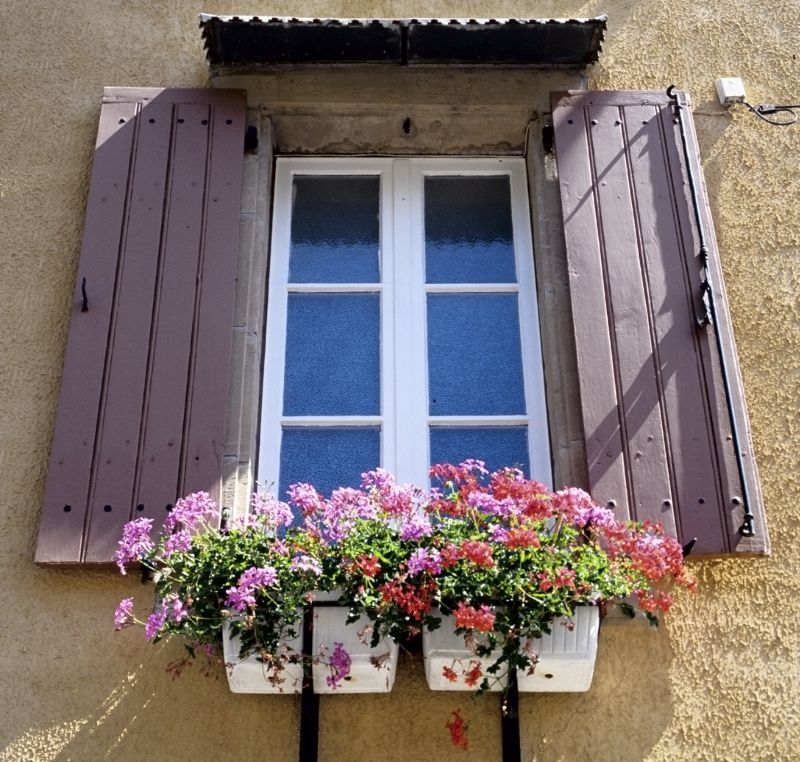 Shutter Handle Repair in Longmont, CO
