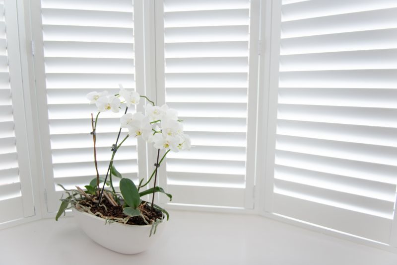 Shutters Replacement in Longmont, CO