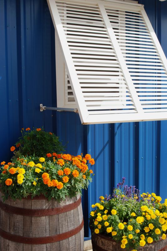 Window Shutter Installation in Arvada, CO